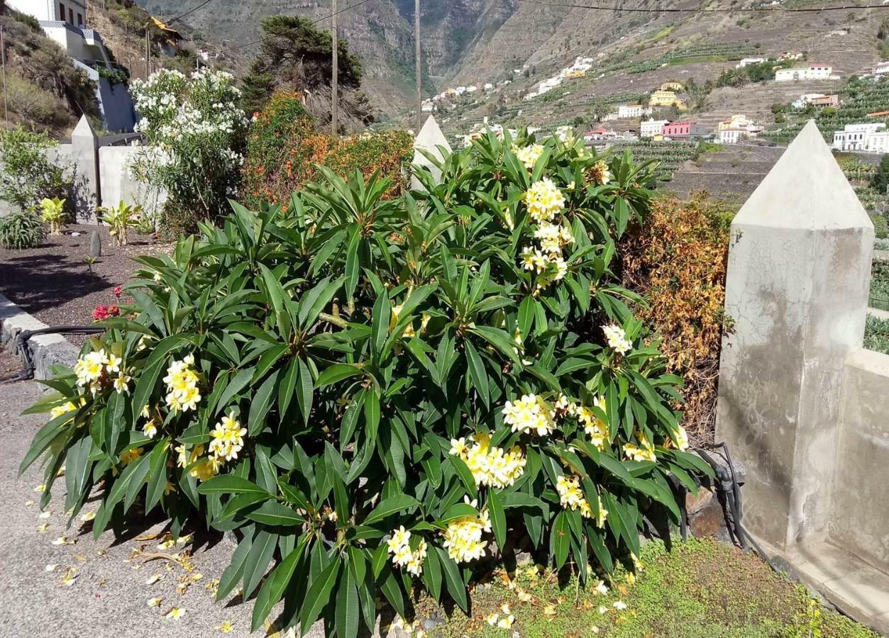 Gomera Garden. Vista Mar Altozano エルミグア エクステリア 写真